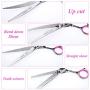 LILYS PET Professional PET Dog Grooming Scissors Suit,RED/Blue Ring, Cutting&Curved&Thinning Shears