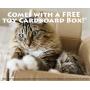 Premium Cat Scratcher by GoPets, Infinity Lounge Corrugated Cardboard is Reversible with Additional Insert to Last 4X Longer, Includes 1 Pack Catnip, Ergonomic Scratching Post, Cutouts to Hide Toys