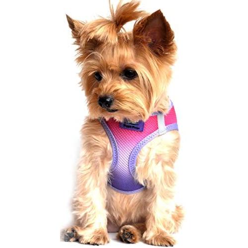 DOGGIE DESIGN Ultra Choke Free Step in Reflective Dog Harness American River Ombre Raspberry Sundae