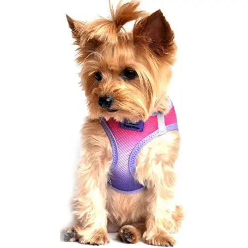 DOGGIE DESIGN Ultra Choke Free Step in Reflective Dog Harness American River Ombre Raspberry Sundae DOGGIE DESIGN Ultra Choke Free Step in Reflective Dog Harness American River Ombre Raspberry Sundae
