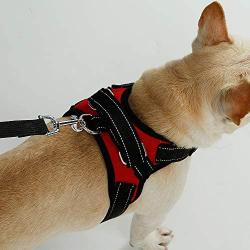 BFIT Dog Harness