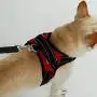 BFIT Dog Harness BFIT Dog Harness