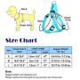 Hamour Dog Leash Set Adjustable Vest Harness with Padded Handle for Small Medium Large Dog Walking Running Training