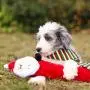 ZippyPaws - Jigglerz Holiday Tough No Stuffing Squeaky Plush Dog Toy with Crinkle Head and Tail ZippyPaws - Jigglerz Holiday Tough No Stuffing Squeaky Plush Dog Toy with Crinkle Head and Tail