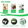 XLXX Dog Chew Toys Dog chew Toys for Aggressive chewers，Dog Toothbrush Chew Toys Dogs Toothbrush and Toothpaste Dog Teeth Cleaning Toy Dog Teeth Cleaning kit to Keep him Happy and Healthy