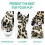 Dog Squeaky Toys No Stuffing, 3 Pack Dog Toys Crinkle Dog Toys for Small Dogs Durable Dog Chew Toys Plush Cute Animals Natural Puppy Toys for Teething Pet Toys Squeak for Boredom