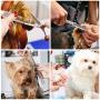 Beinhome Dog Grooming Scissors Kit with Safety Round Tip,5pcs Stainless Steel Heavy Duty Titanium Coated Pet Grooming Trimming Set,thinning,Straight,Curved Shears Comb for Long Short Hair for Pet