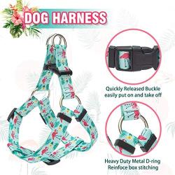 EXPAWLORER No Pull Dog Harness with Leash and Collar Set, Basic Halter Vest Harness, Adjustable Soft Strap with Fashion Banana Flamingo Design