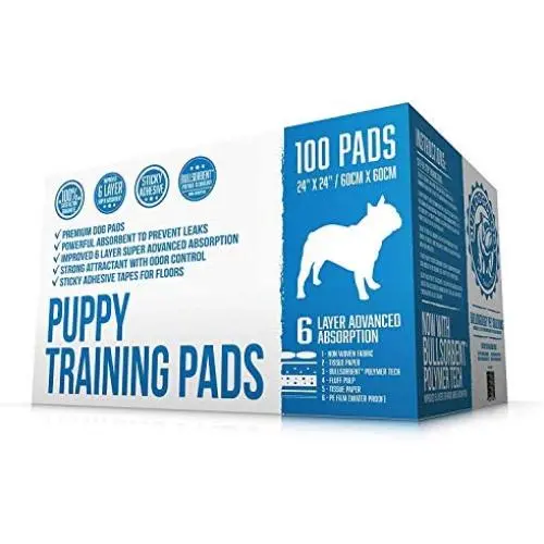 Bulldogology Premium Puppy Pee Pads with Adhesive Sticky Tape (24x24) Large Dog Training Wee Pads with 6 Layer Extra Quick Dry Bullsorbent Polymer Tech (100-Count, White) Bulldogology Premium Puppy Pee Pads with Adhesive Sticky Tape (24x24) Large Dog Training Wee Pads with 6 Layer Extra Quick Dry Bullsorbent Polymer Tech (100-Count, White)