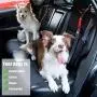STARVII Dog Seatbelt for Cars, Fashionable Premium Denim Nylon Fabric Pet Seatbelt, Dual Use for Dog Car Harness and Dog Leash 1 Pack (Black) STARVII Dog Seatbelt for Cars, Fashionable Premium Denim Nylon Fabric Pet Seatbelt, Dual Use for Dog Car Harness and Dog Leash 1 Pack (Black)