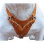 Genuine Leather Dog Harness, 29''-37'' Chest, 1'' Wide Straps, Doberman, Pitbull, Bullterrier