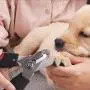 Small Pet Nail Clippers Trimmer Set - Safety Guard To Avoid Over-Cutting Nails Professional Round Tip Dog and Cat Grooming Scissors Small Pet Nail Clippers Trimmer Set - Safety Guard To Avoid Over-Cutting Nails Professional Round Tip Dog and Cat Grooming Scissors