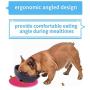 N/M Dressyougo Spill Proof Slanted Dog Bowl, Tilted Food Water Bowl & Non-Skid Silicone Mat for French Bulldog and Cats, Easier to Access Food