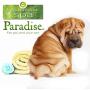 Best Shot Pet Scentament Spa Oatmeal Body Wash, Lemon Vanilla