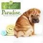 Best Shot Pet Scentament Spa Oatmeal Body Wash, Lemon Vanilla Best Shot Pet Scentament Spa Oatmeal Body Wash, Lemon Vanilla