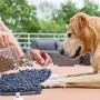 Snuffle Mat for Dogs 17 x 21 Dog Snuffle Mat with Powerful Anti-Slip Suckers Interactive Dog Food Training Mat for Natural Foraging Skills and Stress Relief - Durable and Machine Washable