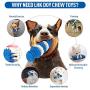 Dog Chew Toys - Dog Toys for Aggressive Chewers Toughest Natural Rubber - Dog Toothbrush Toys Interactive Dog Toys for Puppies and Medium & Large Dogs - Dental Care Teeth Cleaning Toy for Dogs (Blue)