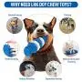 Dog Chew Toys - Dog Toys for Aggressive Chewers Toughest Natural Rubber - Dog Toothbrush Toys Interactive Dog Toys for Puppies and Medium & Large Dogs - Dental Care Teeth Cleaning Toy for Dogs (Blue) Dog Chew Toys - Dog Toys for Aggressive Chewers Toughest Natural Rubber - Dog Toothbrush Toys Interactive Dog Toys for Puppies and Medium & Large Dogs - Dental Care Teeth Cleaning Toy for Dogs (Blue)