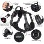 Dog Harness No Pull Reflective: Adjustable Pet Puppy Harness with 2 Leash Clips Comfortable Padded Dog Vest, Easy Control Handle for Small Medium Large Dogs Training, Outdoor Running Walking,M