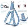 Dog Leash Harness Set, Durable Adjustable Heavy Duty Dog Harness,Soft Padded Handle Pet Leash for Dogs,Perfect for Dog Daily Training Walking Running Blue