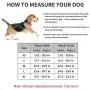 MUDINPET Dog Harness No Pull, Dog Vest Harness for Large Medium Small Puppy Dogs, Adjustable Comfort Fit Easy Control Walking Pet Harness with Handle … MUDINPET Dog Harness No Pull, Dog Vest Harness for Large Medium Small Puppy Dogs, Adjustable Comfort Fit Easy Control Walking Pet Harness with Handle …