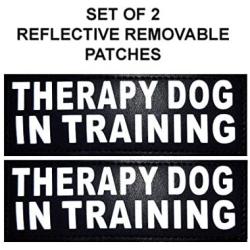 Doggie Stylz Set of 2 Reflective Therapy Dog in Training Removable Patches with Hook Backing for Working Dog Harnesses & Vests. Durable and Interchangeable - Comes in 3 Sizes Small, Medium and Large