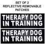 Doggie Stylz Set of 2 Reflective Therapy Dog in Training Removable Patches with Hook Backing for Working Dog Harnesses & Vests. Durable and Interchangeable - Comes in 3 Sizes Small, Medium and Large