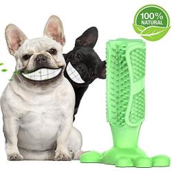 Slimology Dog Toothbrush Stick Safe Non Toxic Dog Pet Chew Toy, Dental Care Dog Chew Natural Rubber Bite Resistant Dog Tooth Brush, Long Lasting Puppy Chew Toys for Dogs Pet Oral Care