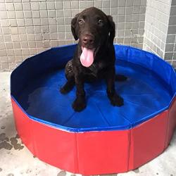 Alfie Pet - Quain Foldable PVC Pet Swimming Pool Bath Tub