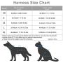 Dog and Cat Universal Harness with Leash - Cat Harness Escape Proof - Adjustable Reflective Step in Dog Harness for Small Dogs Medium Dogs - Soft Mesh Comfort Fit No Pull No Choke (XS, Black)