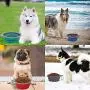 AOII Collapsible Dog Bowls for Travel 2 Pack Pet Food and Water Bowl, Portable Dog Bowl for Outdoor Walking Camping 1000mL/33oz AOII Collapsible Dog Bowls for Travel 2 Pack Pet Food and Water Bowl, Portable Dog Bowl for Outdoor Walking Camping 1000mL/33oz