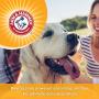 Arm & Hammer For Pets 2-In-1 Shampoo & Conditioner for Dogs, White, 20 Ounces - 1 Pack