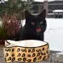 Creature Comforts Leopard Fish Shaped Dish Creature Comforts Leopard Fish Shaped Dish