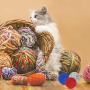 Weewooday 9 Pieces Wool Felt Ball Toys for Cats and Kittens Cat Wool Ball Toys Handmade Wool Dog Balls Colorful Soft Quiet Felted Fabric Balls for Cat Lover, Craft Supplies