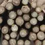 IETANG Cat Treat Chew Stick Toys,Sticks Organic Natural Plant Healthy Snacks Teeth Cleaning Bite Sticks, Kittens Cleaning Teeth Molar Tools, Cat Silvervine Sticks Value Set for Pets