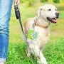 LED Flashlight Dog Waste Bag Dispenser Holder with Pet Waste Bag Poop Roll Bags (2 Packs)
