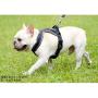 PENIVO Dog Harness for Large Dogs,No-Pull Mesh Vest Adjustable Chest Pet Reflective Harness for Medium Dogs Running and Walking Outdoor