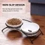 Y YHY Ceramic Raised Pet Cat Bowls, 12 Ounces Elevated Food or Water Bowls, Double Cat Dishes, Gift for Cat, White Y YHY Ceramic Raised Pet Cat Bowls, 12 Ounces Elevated Food or Water Bowls, Double Cat Dishes, Gift for Cat, White