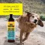 YAYA ORGANICS Dog Whisperer Tick + Flea Dog Shampoo YAYA ORGANICS Dog Whisperer Tick + Flea Dog Shampoo