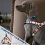 WACLTE Puppy Harness with Leash - Escape Proof Safe Easy Walking Plaid Cute Small Dog Harness - Adjustable Soft Nylon Comfortable for Doggie - Great for Training/Hiking/Running
