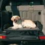 Royal Pet Club Car Bed, 95 × 75 cm, Black/Grey