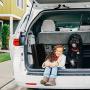 ALL FOR PAWS Portable Foldable Dog Ramps Easy-Fold Lightweight Dog and Cat Ramp Non-Slip Design for Large Dogs SUV, Truck Car Ramp Stairs Step Ladder for Pet, Up to 200LBS