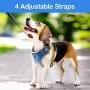 BEELIKE Dog Harness Soft Mesh Puppy Harness Reflective Pet Harness Choke Free Breathable Dog Harnesses Over Head Vest Adjustable Harness for Small Medium Large Dogs