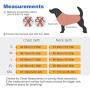 ThinkPet No Pull Harness Breathable Sport Harness with Handle-Dog Harnesses Reflective Adjustable for Medium Large Dogs,Back/Front Clip for Easy Control