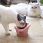 Gbziyjk Raised Cat Food Bowl, Elevated Tilted Pet Feeding Non-Slip Kitten Feeder for Water,Bowl Water with No-Spill,Adjustable Stress Free Pink Dish, 90Ml