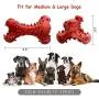 ANTECESSOR Orange Led Dog Collars Rechargeable,100% Waterproof Adjustable USB Rechargeable, Puppy Dog Toys for Teeth Cleaning, Dog Rope Toys for Aggressive Chewers for Medium/Large Dogs ANTECESSOR Orange Led Dog Collars Rechargeable,100% Waterproof Adjustable USB Rechargeable, Puppy Dog Toys for Teeth Cleaning, Dog Rope Toys for Aggressive Chewers for Medium/Large Dogs