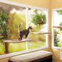 Window Cat Bed, Angela&Alex Cat Window Seat Window Perch Bed Hammock with 2 Extra Replaceable Suction Cups Space Saving All-Around 360° Sunbath Holds Up to 55 lbs for Any Cat Size
