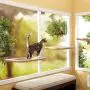 Window Cat Bed, Angela&Alex Cat Window Seat Window Perch Bed Hammock with 2 Extra Replaceable Suction Cups Space Saving All-Around 360° Sunbath Holds Up to 55 lbs for Any Cat Size Window Cat Bed, Angela&Alex Cat Window Seat Window Perch Bed Hammock with 2 Extra Replaceable Suction Cups Space Saving All-Around 360° Sunbath Holds Up to 55 lbs for Any Cat Size