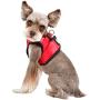Puppia Legacy Harness B