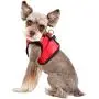 Puppia Legacy Harness B